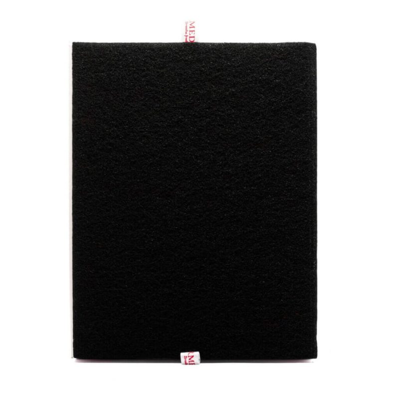 PU2120 Rowenta PU2120 Filtre Detayı