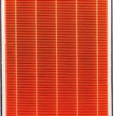 Rowenta PU2120 Yedek HEPA Filtre