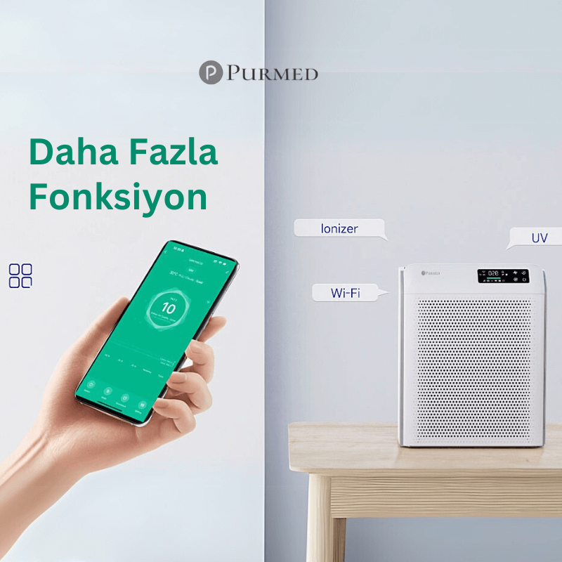 pure flat Pure Flat İyonizer Hava Temizleyici