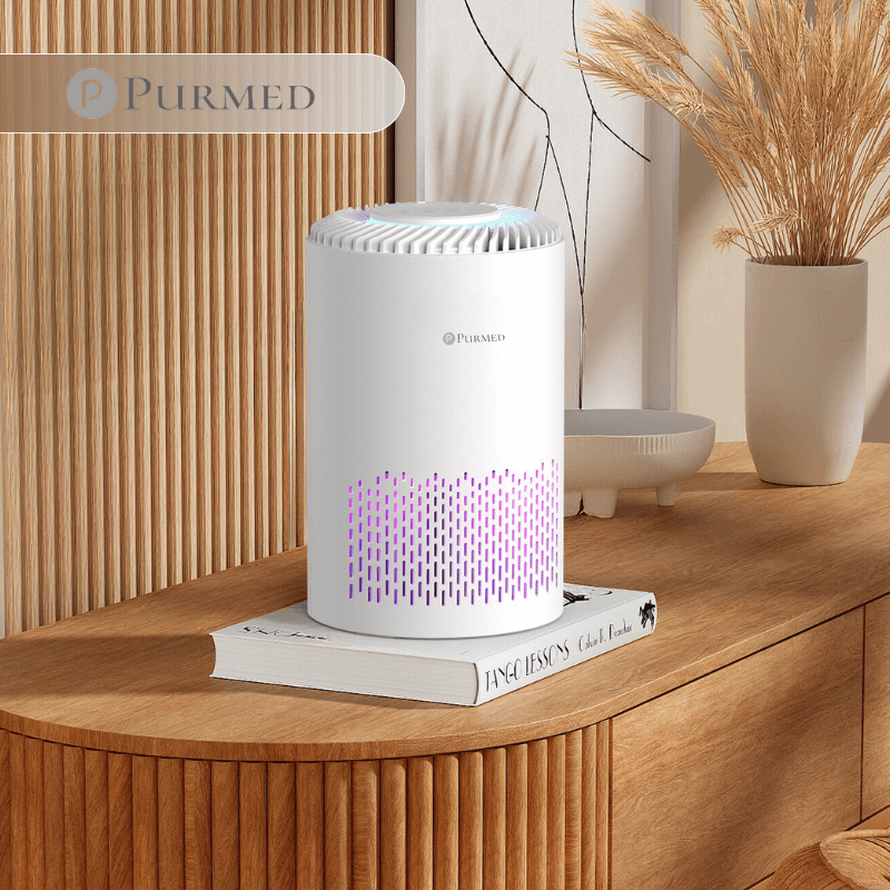 Pure Compact Hava Temizleyici Küçük