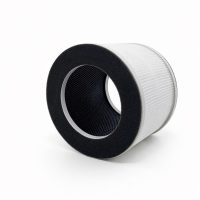 Blaupunkt LR 1000 Aeromaster Filtre